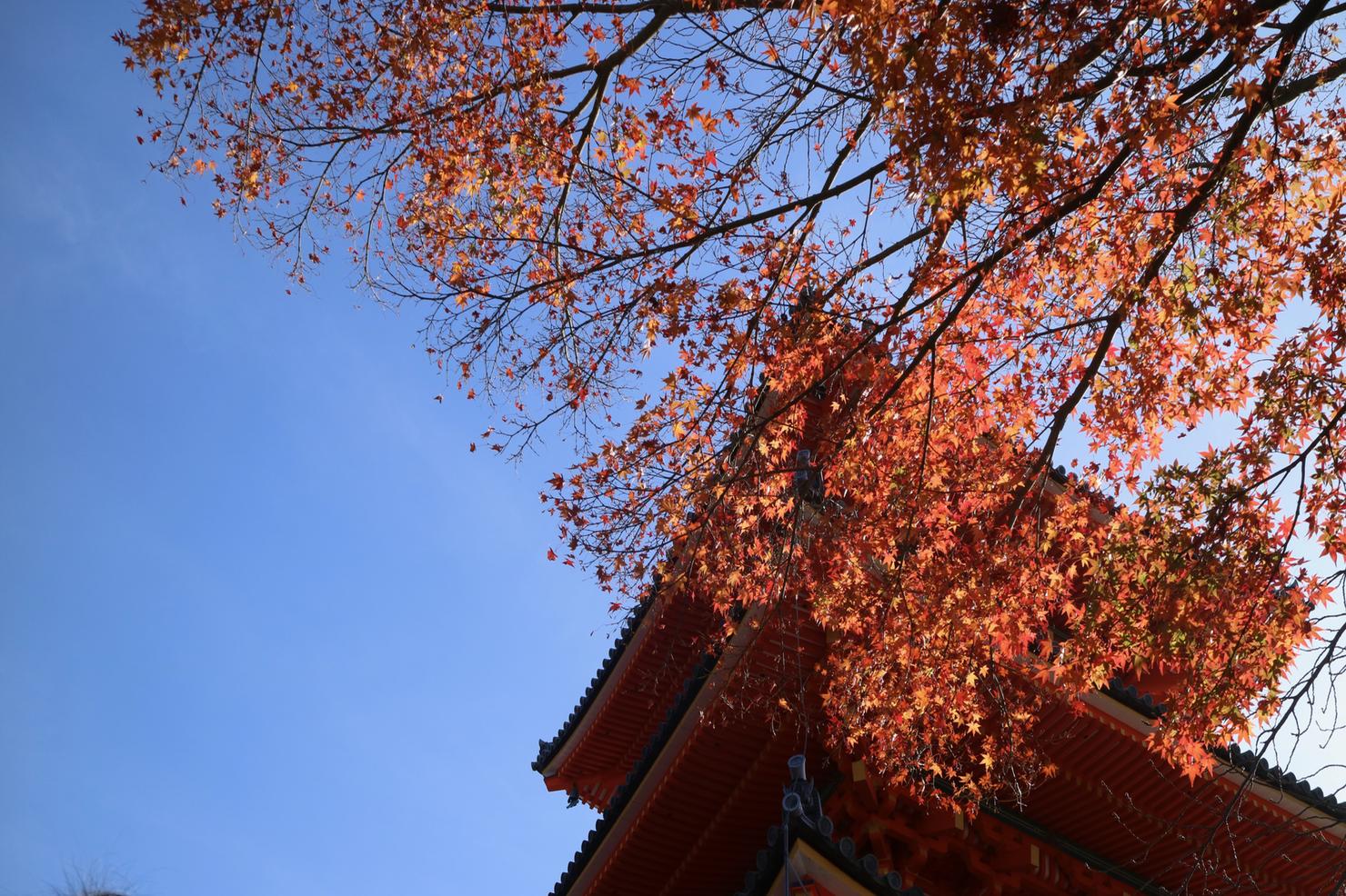 Kiyomizu-dera pagoda