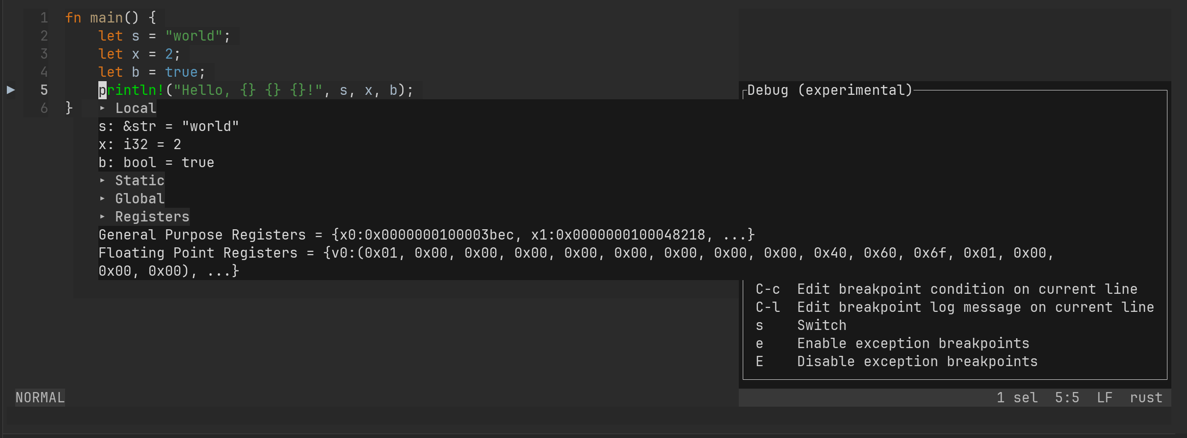 codelldb - string variables values